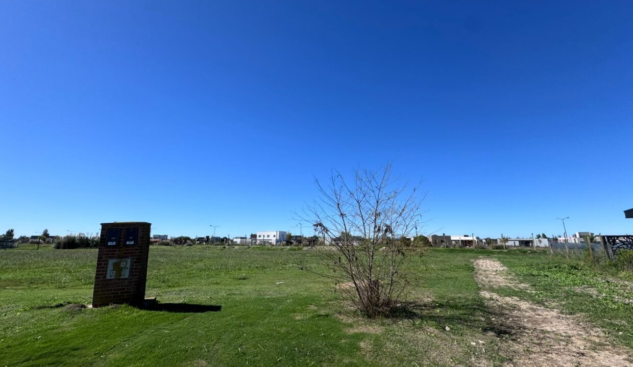 WhatsApp Image 2026-04-22 at 12.44.50