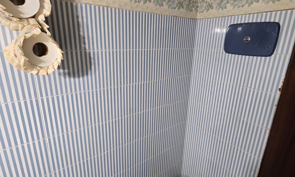 toilette2