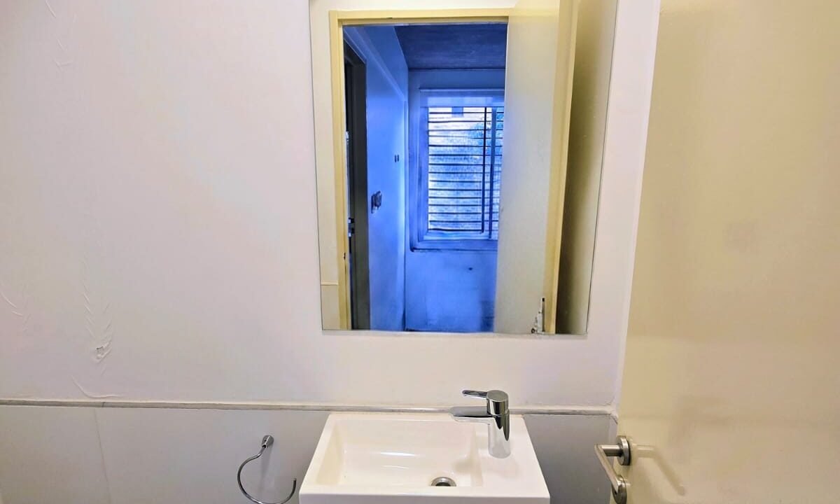 DRAGONES TOILETTE 1